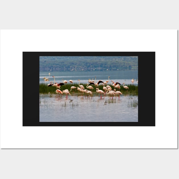 Flamingos at Lake Nakuru Kenya Wall Art by rolphenstien